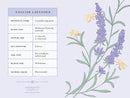 Honeybee Card Portfolio Set (Set of 20 Cards)
