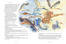 The Sita's Fire Trilogy