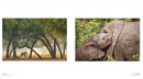 The New Big 5