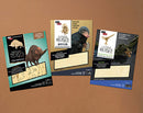 IncrediBuilds: Fantastic Beasts and Where to Find Them Bundle