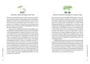 Reading Tea Leaves