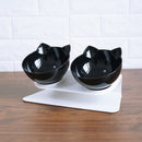 Cat Elevated Feeder Stand With Transparent Bowl