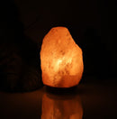 Crystal Rose Salt Night Lamp