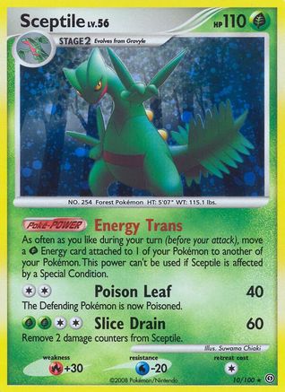 Sceptile 010/100 - Stormfront Reverse Holofoil