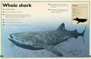 The Magnificent Book of Ocean Creatures