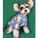 Pet cactus sweater