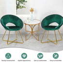 Modern Accent Velvet Dining Arm Chair with Golden Metal Legs and Soft Cushion