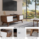 Sliding Door TV Stand with Adjustable Shelf for TVs up to 55 Inch