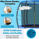8 Feet ASTM Approved Recreational Trampoline with Ladder-Blue