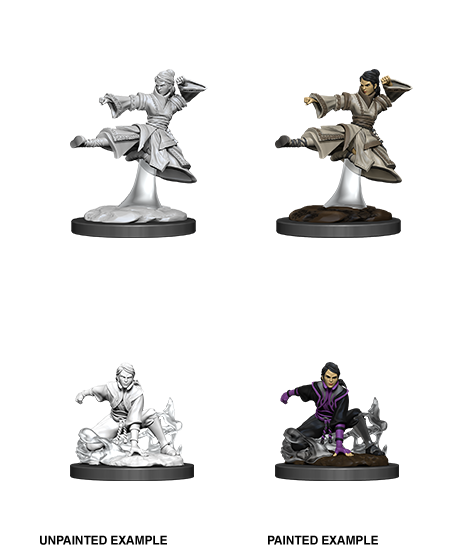 D&D: Nolzur's Marvelous Miniatures - Female Human Monk