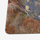 Kingston Pond Playmat