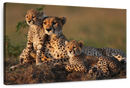 Safari Cheetah Family Wall Art