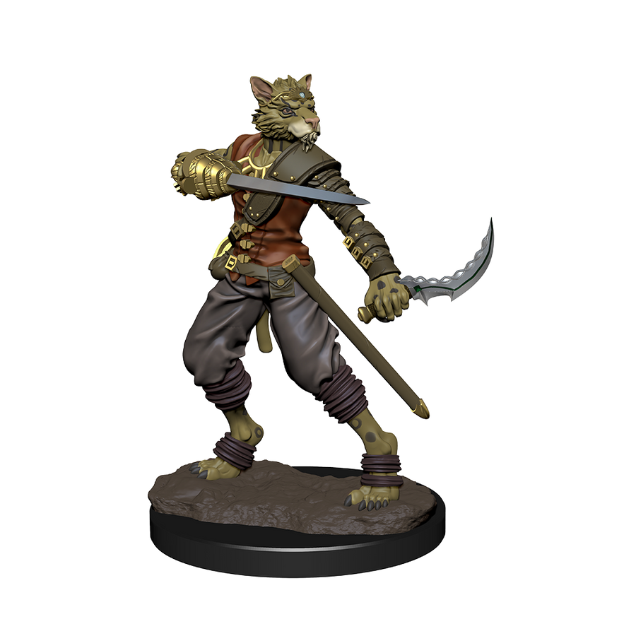 D&D: Icons of the Realms - Tabaxi Rogue Male