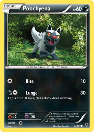 Poochyena 053/119 - XY  Phantom Forces