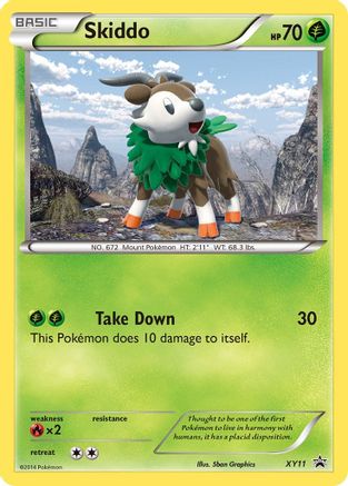 Skiddo XY11/211 - XY Promos Holofoil