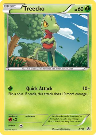 Treecko XY36/211 - XY Promos Holofoil