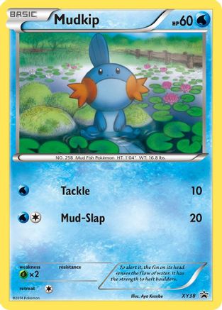 Mudkip XY38/211 - XY Promos Holofoil