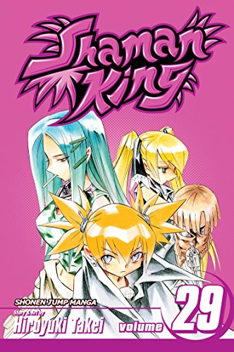 Shaman King Vol 29