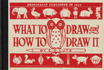 What to Draw and How to Draw It