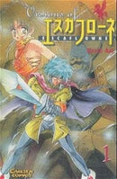 Visions of Escaflowne Vol 1