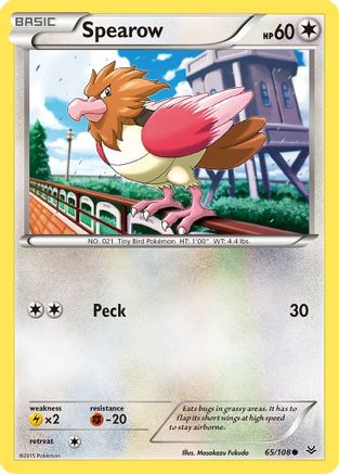 Spearow 065/108 - XY  Roaring Skies Reverse Holofoil