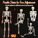 5.4 FT Halloween Skeleton Decoration Life Size Large Skeleton