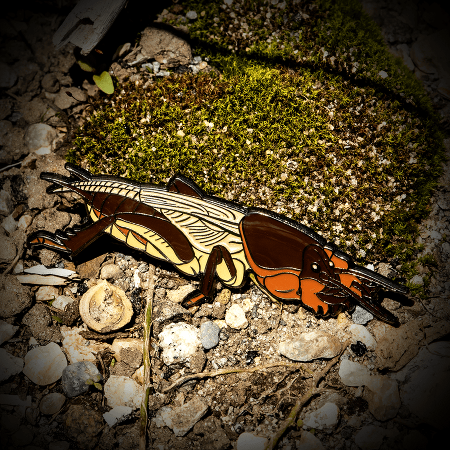 European Mole Cricket Enamel Pin