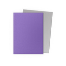 Dragon Shield: Nebula & Silver - Matte Dual Sleeves
