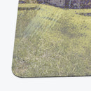 Dawn's Truce Playmat