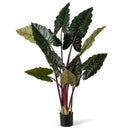 Artificial Rainbow Taro Tree 63" Tall with 11 Faux Leaves
