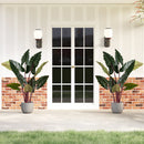 Artificial Rainbow Taro Tree 63" Tall with 11 Faux Leaves