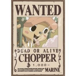 One Piece Ship's Doctor 