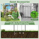 Birdcage Shape Gazebo for Climbing Plants and Wedding Ceremony Decoration