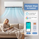 Blast Pro Series 12000 BTU 20 SEER2 115V Wifi Enabled Mini Split Air Conditioner and Heater
