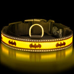 DC Comics Collar, Light Up, Batman Bat Logo