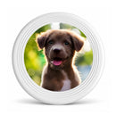 Personalized Photo Dog Flying Disc | Custom Pet Fetch Toy - Upload your Dog Photo