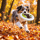 Personalized Photo Dog Flying Disc | Custom Pet Fetch Toy - Upload your Dog Photo