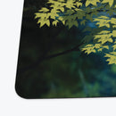 Riverland Playmat