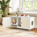 43 Inches Cat Litter Box Enclosure with Double Rooms and 2 Sisal Scratching Mats