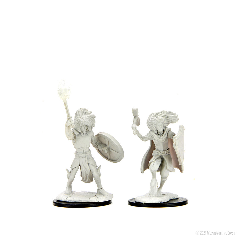 D&D: Nolzur's Marvelous Miniatures - Changeling Cleric