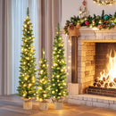 Pre-Lit Artificial Christmas Tree Set of 3 with LED Lights