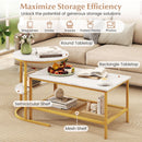 Coffee Table 2-Tier Rectangle Coffee Table and Side End Table with Storage Shelves