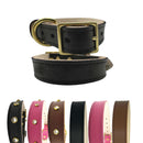 Plain Leather Dog Collar