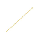14k Yellow Gold Lite Anchor Chain (3.00 mm)
