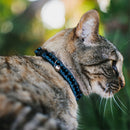 Breakaway Cat Collar with Bell - Bat Signal-3 Blue/Black/Blue