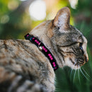 Cat Collar Breakaway with Bell - Batman Signal Black Fuchsia