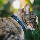Cat Collar Breakaway with Bell - Captain America Fireworks Icons Blue Red White