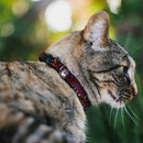 Cat Collar Breakaway - CATWOMAN Bombshell Pose Diamonds Red Purple Black