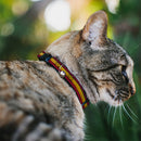 Cat Collar Breakaway - The Flash Stripe Burgundy Gold