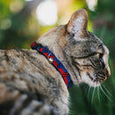 Cat Collar Breakaway - Harley Quinn Diamond Stripe Red Blue